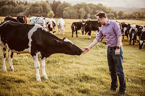 Danny with cow