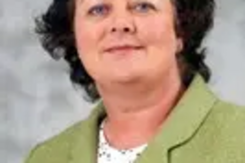 Cllr Anita Lower