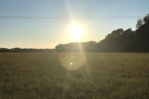 green belt