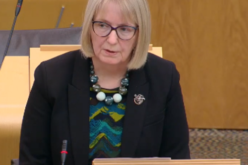 Beatrice Wishart speaks in the Scottish Parliament chamber