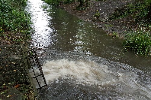 sewage discharge