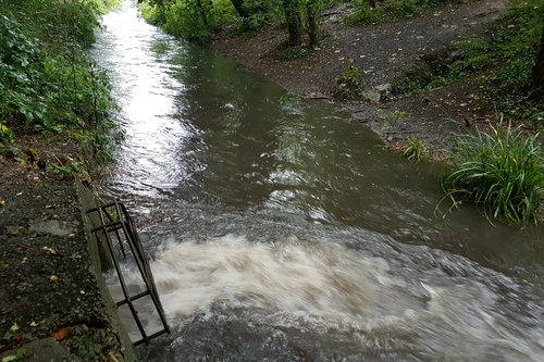 Sewage Discharge Pic Campaign Hub