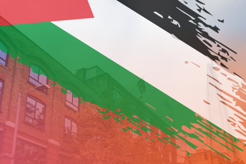 Palestine Flag