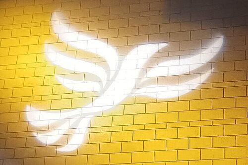 Lib Dem logo
