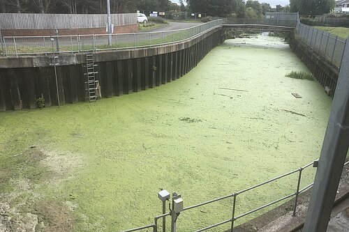 sewage dumping