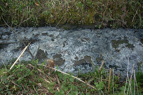Cranleigh Sewage