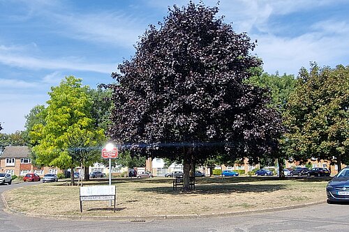 Katherine Drive