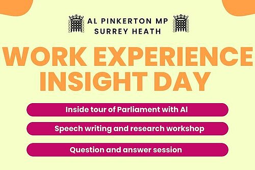 Insight day