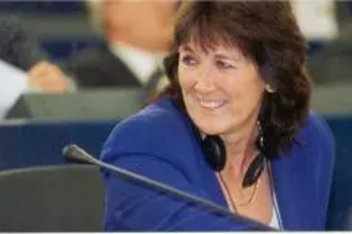 Liz Lynne MEP