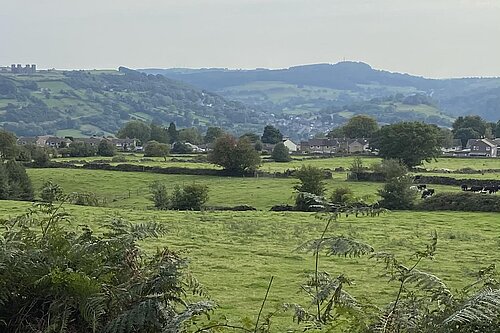 Wolds view