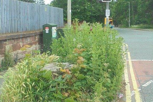 Allport Road