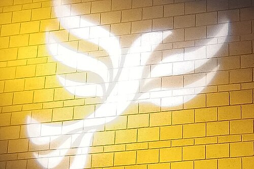 Yellow Bird 