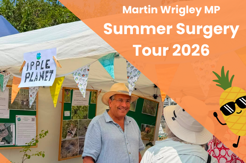 summer safari banner