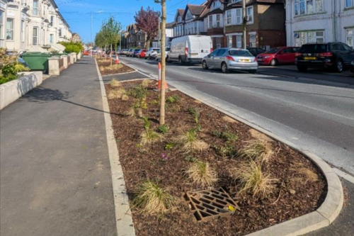 New roadside water gardens and trees