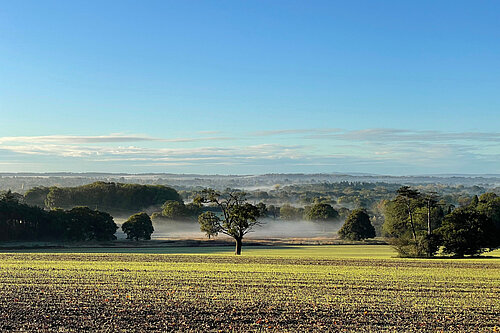 Horsham Fields