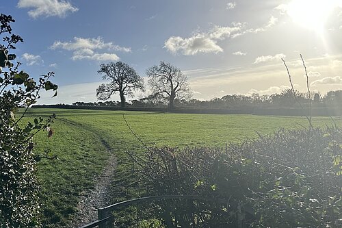 Land East of Roundways