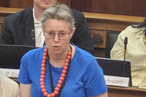 Cllr Janet Grauberg
