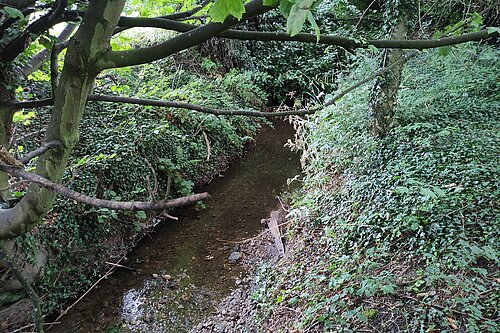 Hell Brook