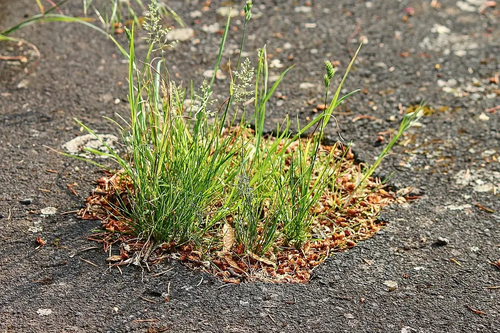 pothole