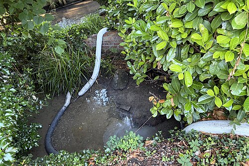 River Wandle